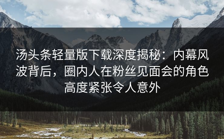 汤头条轻量版下载深度揭秘：内幕风波背后，圈内人在粉丝见面会的角色高度紧张令人意外